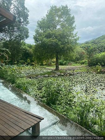 IMG_0788