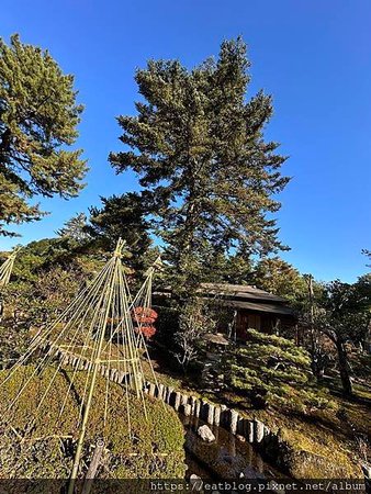 日本名古屋NAGOYA必去景點｜兼六園(日本三大名園)、金澤