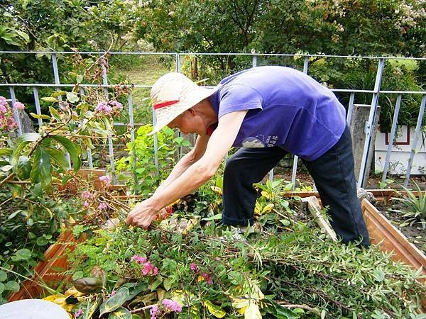 （圖說：沈海花鼓勵住民透過在花園裡除草等簡單勞動，維持身體機能。）