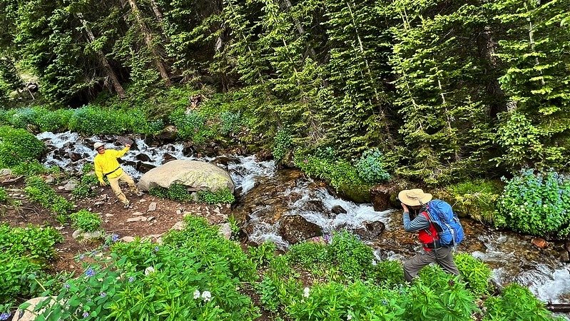 Cascading water along the trail (5)