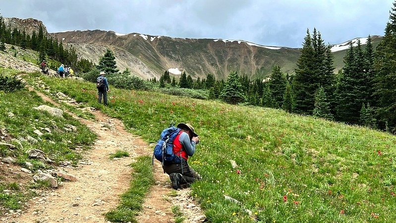 Wildflowers blooming along Butler Gulch Trail (1)