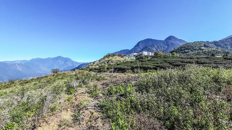 南雙龍山頂東望群山