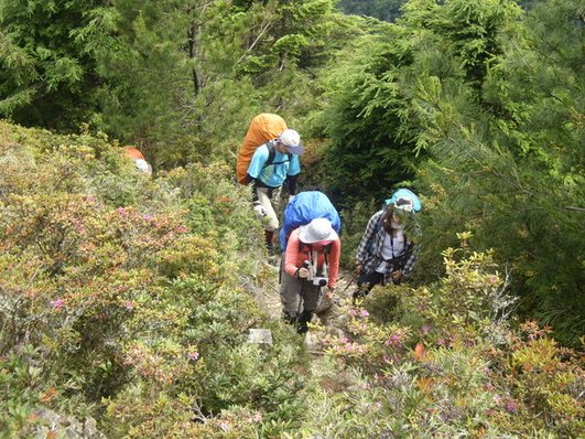 1010629~30桃山、喀拉業二秀兩天兩夜行程紀錄(第一天