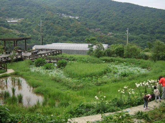 1010511內湖白石湖吊橋、忠勇山及碧山巖記錄~