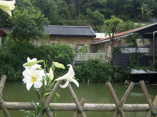 1010511內湖白石湖吊橋、忠勇山及碧山巖記錄~