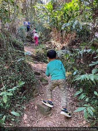 IMG_2472
