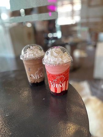 [宿霧 | 咖啡廳] Miau Cafe - 宿霧貓咪咖啡廳