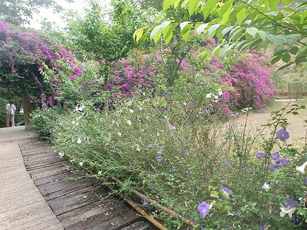 &lt;遊記-苗栗三義&gt;山那邊，綠葉方舟+雅聞香草植物工廠 ARW