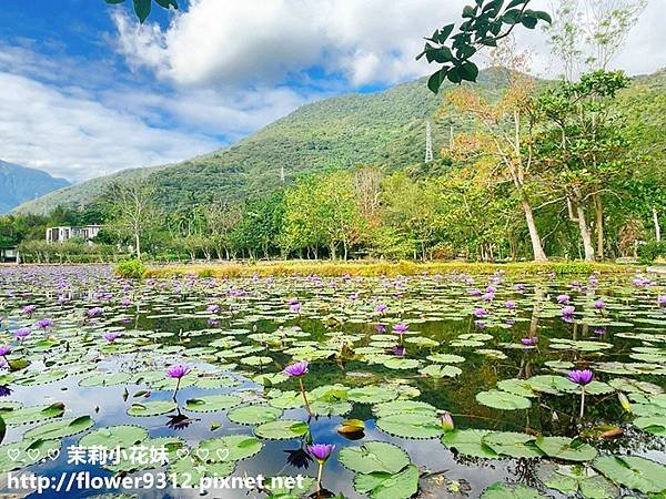 花蓮吉安 金澤居民宿 (33).jpg