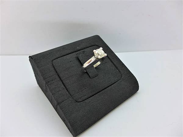 P1230041