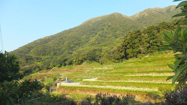 DSCF0002