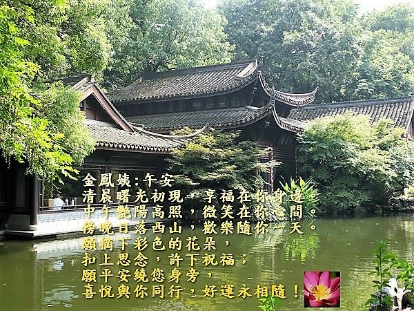 網友夢荷贈