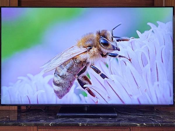 [體驗]結果本身就是唯一的真相！Panasonic MX95