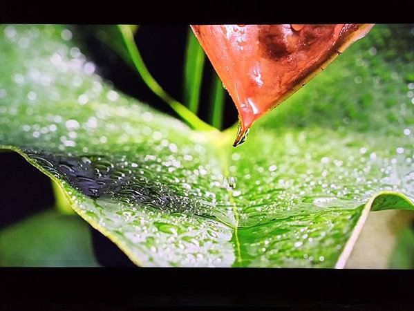 [體驗]結果本身就是唯一的真相！Panasonic MX95