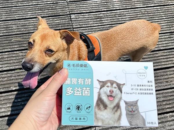 毛孩優健 腸胃有酵多益菌｜一盒５效含量加滿｜消化吸收滿分、開
