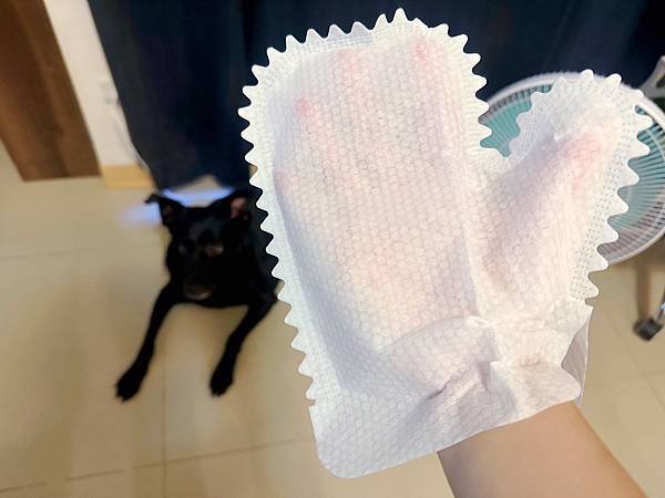 🐶懶人寵爸必備｜寶兒樂｜刷牙就用寵物潔牙指套、潔牙巾～強力超