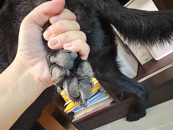 🐶懶人寵爸必備｜寶兒樂｜刷牙就用寵物潔牙指套、潔牙巾～強力超
