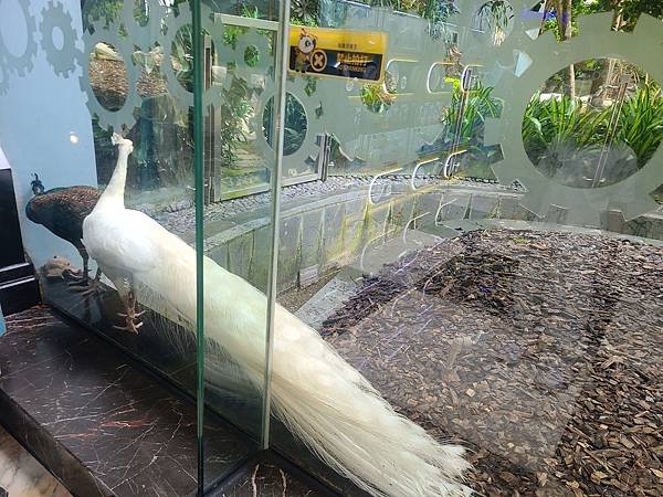 2024 暑假 二訪廣州長隆野生動物世界 (香港+高鐵+抵達