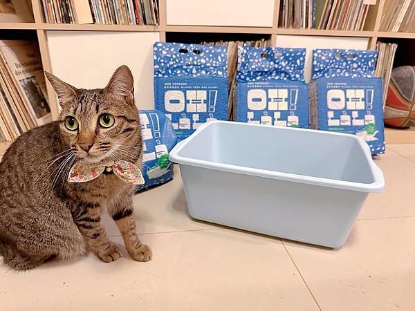 OH!LàLà豆腐貓砂實測 🐈 活性碳破碎豆腐砂｜抑菌除臭加