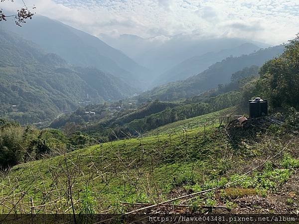 豪華雙子卷(錦屏之美)