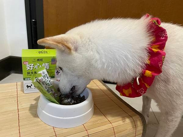 寵物｜保健腸胃放鬆心情！威旺犬用好心情益生菌 挑吃狗狗也喜愛