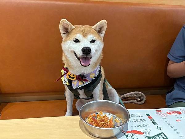 探店｜【2024/10更新】和毛孩去板橋吃火鍋！這服務實在太
