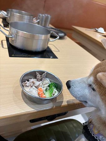 探店｜【2024/10更新】和毛孩去板橋吃火鍋！這服務實在太