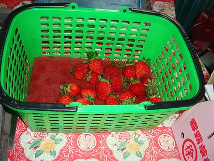 DSC04193.JPG