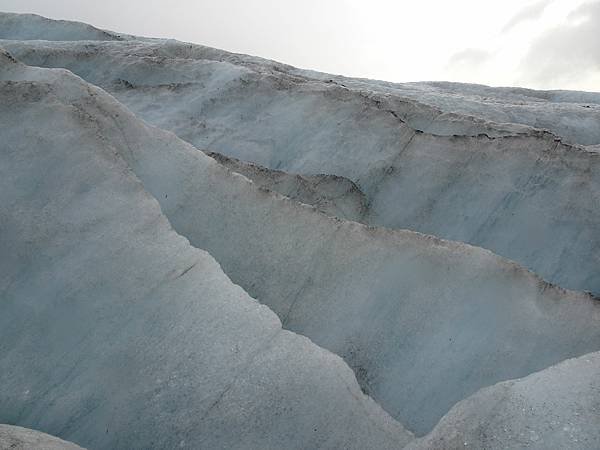Day 4:苔原,Falljökull冰川健行,瀑布農場