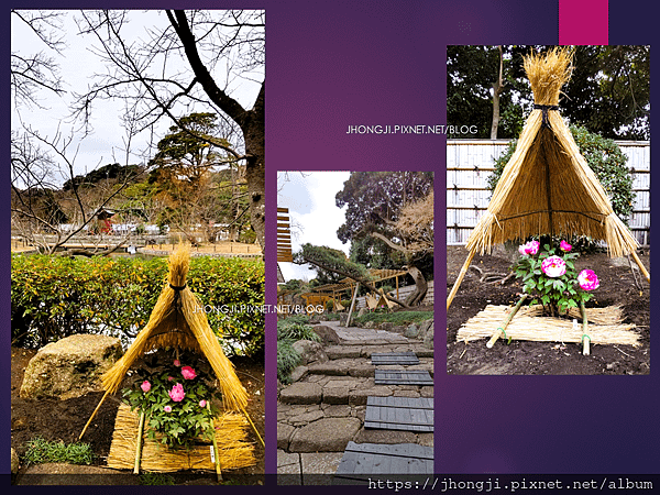 【隨便一拍】鎌倉風物｜小町商店街｜鶴岡八幡宮｜鎌倉文華館｜弁