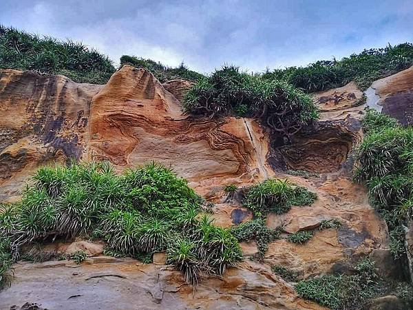 【野柳地質公園第三區│女王的秘密花園】2021北海岸新景 月球+火星異世界 揭開野柳神秘的80%  吃貨旅遊作家水靜葳JING找樂子 (48)