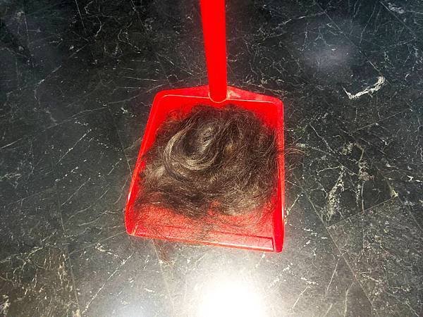 剪了一畚斗的髮