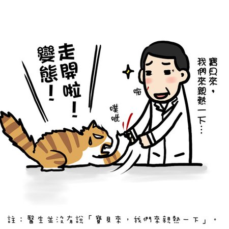 街頭巷尾貓7-1.jpg