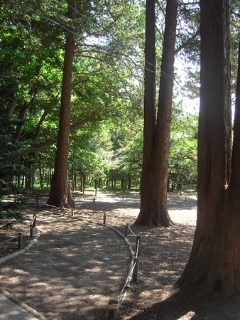 神社內部2