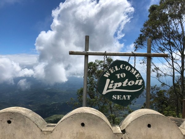 Lipton’s Seat與泰米爾採茶婦女