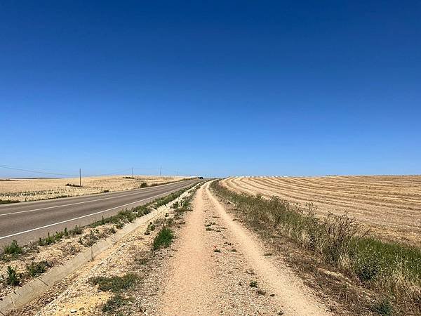 法國之路Day 16 走路去Carrión de los C