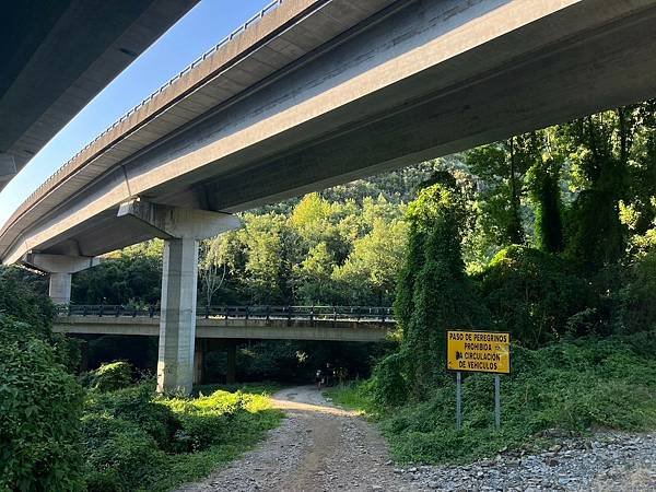法國之路Day 26 O Cebreiro山城尋找哈比人