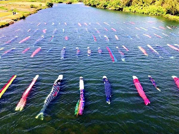 防府再發現 佐波川水中鯉魚旗 、 奇祭笑講