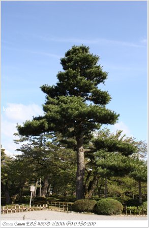 照片 1187-18.jpg