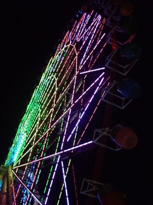 IMGP8903.JPG