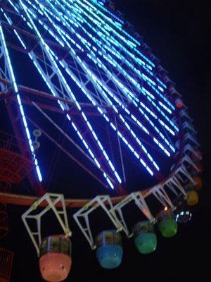 IMGP8911.JPG
