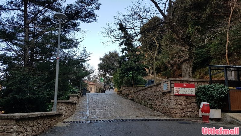 20190206_135623.jpg
