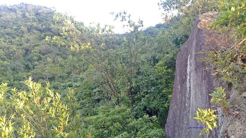 TAIPEI-bush walking-台北郊山健行-內湖金面山剪刀石-17度C隨拍 (7)