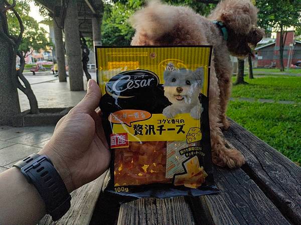 狗狗零食點心推薦,日本直送,西莎原味食感點心,毛小孩,蒸煮工法,日本製
