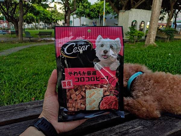 狗狗零食點心推薦,日本直送,西莎原味食感點心,毛小孩,蒸煮工法,日本製