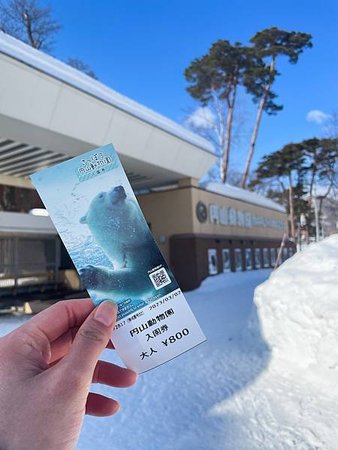 2023年02月，北海道歷險記之『北極熊 + 有始有終的賞雪