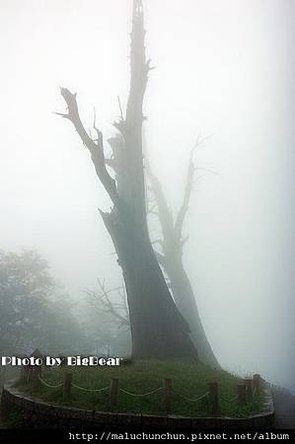 DSC_0135.jpg