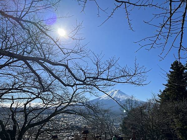【2023 東京八天七夜自由行】Day 3 河口湖新倉富士淺