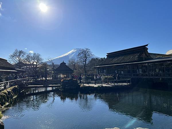 【2023 東京八天七夜自由行】Day 3 河口湖新倉富士淺
