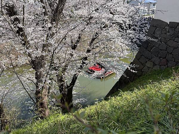 【2024 東北賞櫻+東京七天六夜自由行】Day 3 山形霞